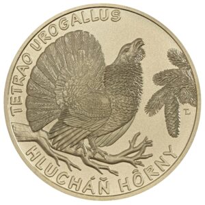 5 Euro - 2023 - Fauna a flóra na Slovensku – hlucháň hôrny